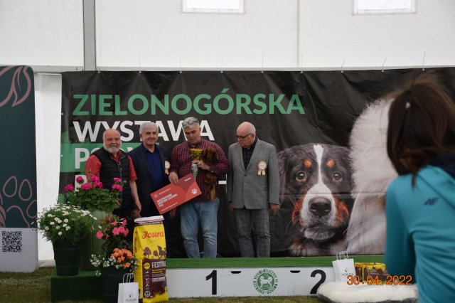 pieski2 152